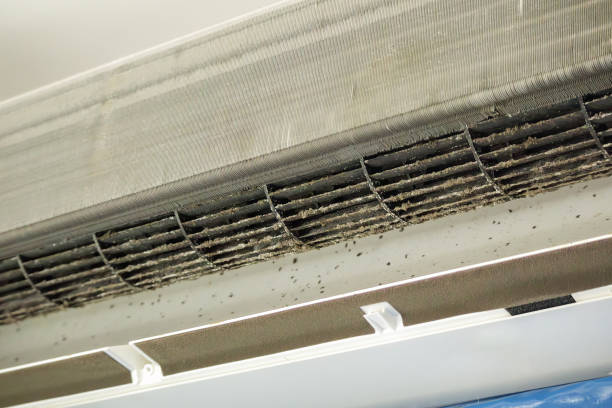 Best Ventilation System Cleaning in Cooper City, FL