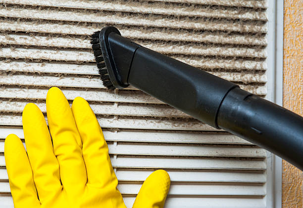 Best Mold and Mildew Removal from Ducts in Cooper City, FL